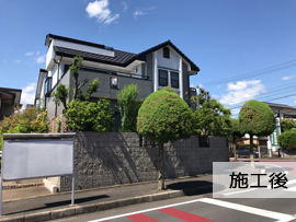 インタビュー