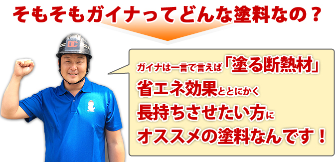 そもそもガイナってどんな塗料なの?