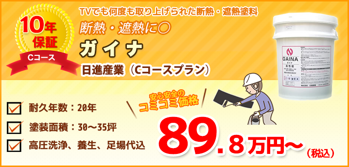 ガイナ