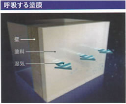 呼吸する塗膜